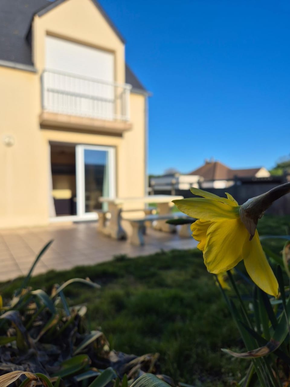 Property building, Garden view