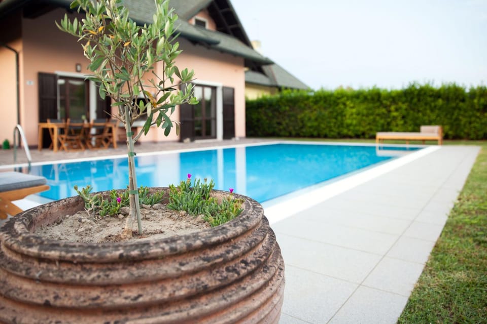 Property building, Garden, Garden view, Pool view, Swimming pool, sunbed