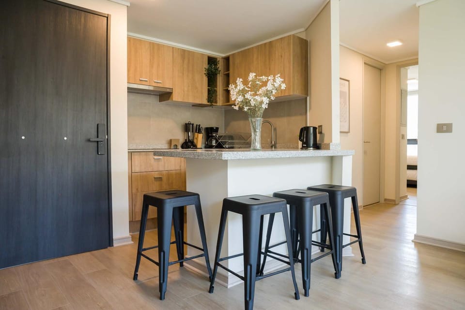 Bright 2D2BR Santiago Apartment Near Attractions Apartment in Santiago
