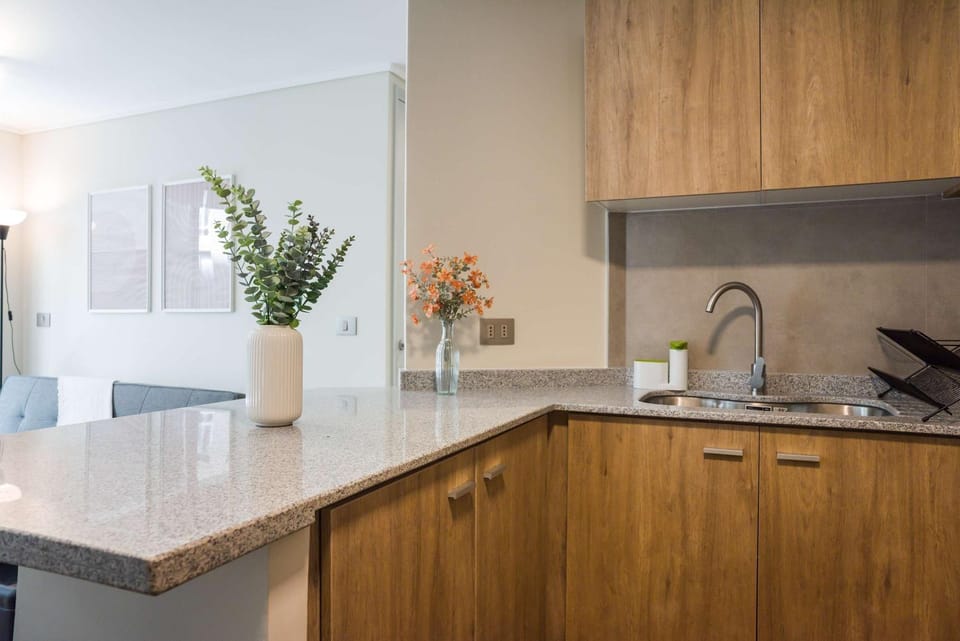 Stylish 2BR in Santiago with Balcony 5 guests Apartment in Santiago