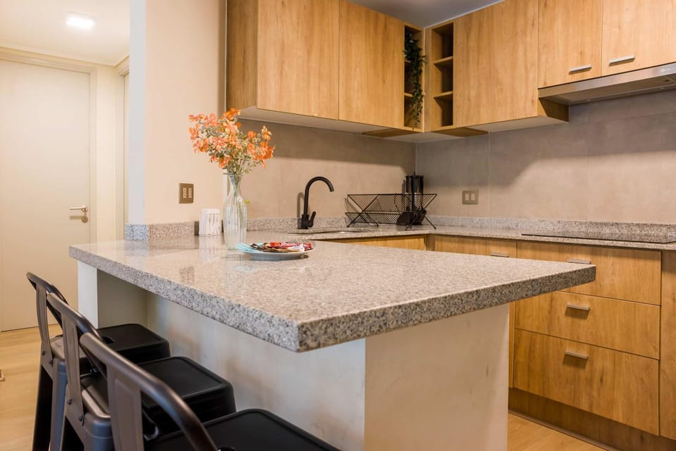 Stylish 2BR in Santiago with Balcony 5 guests Apartment in Santiago