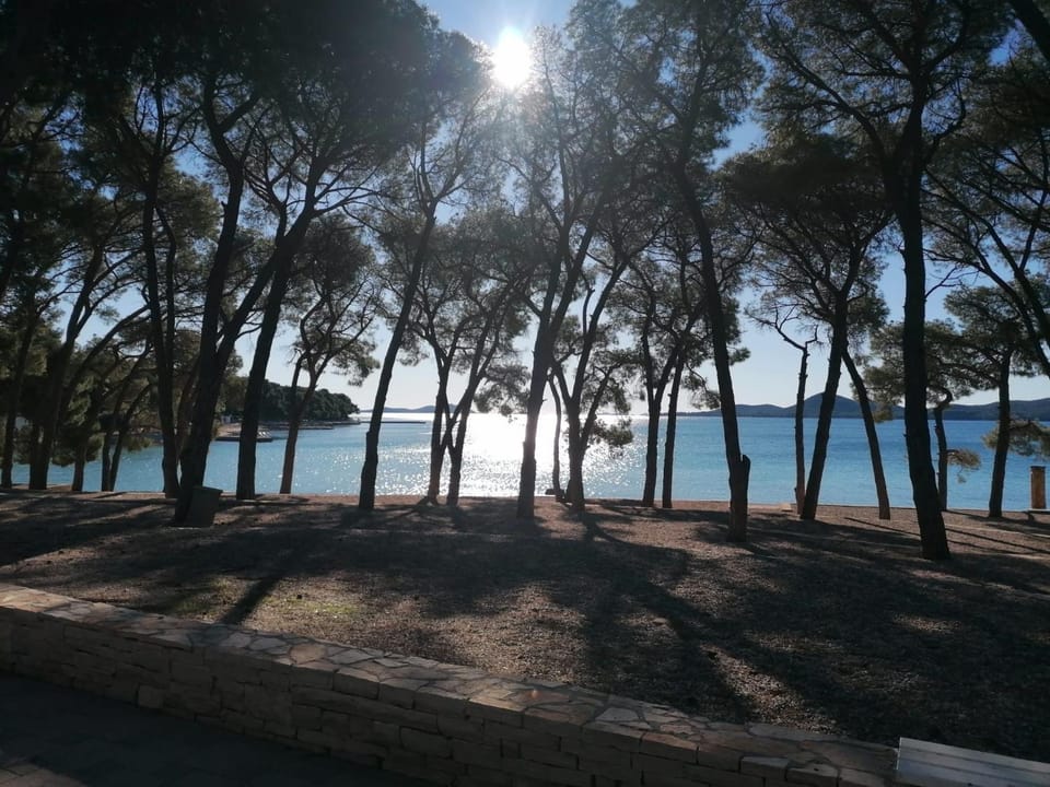 studio Jelena Apartment in Biograd na Moru