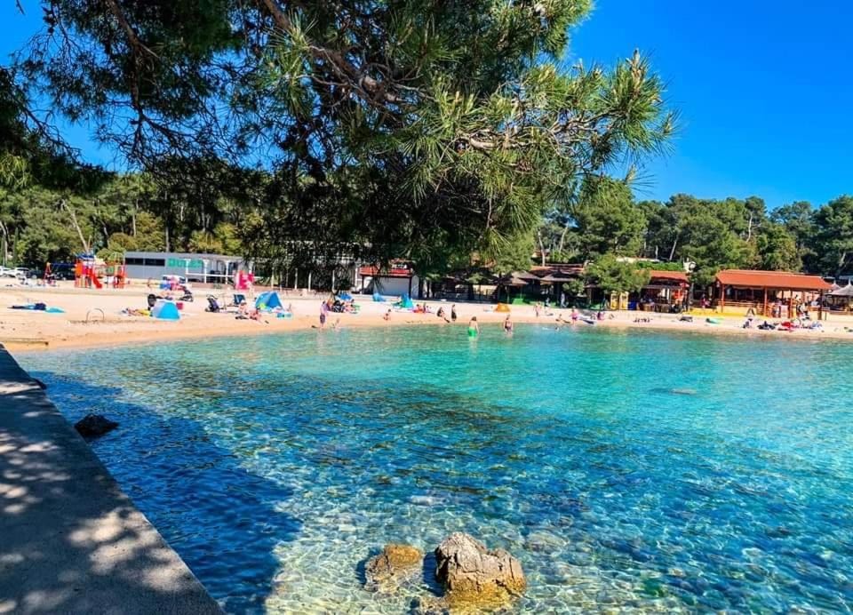 studio Jelena Apartment in Biograd na Moru