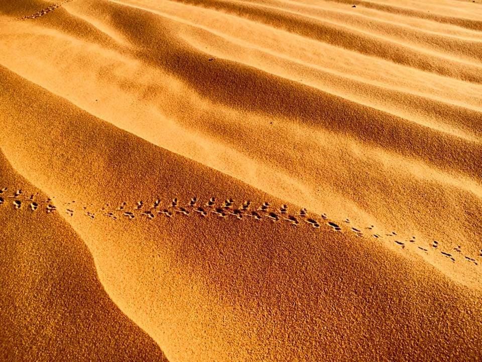 Karawanserail Khamlia Bed and Breakfast in Morocco