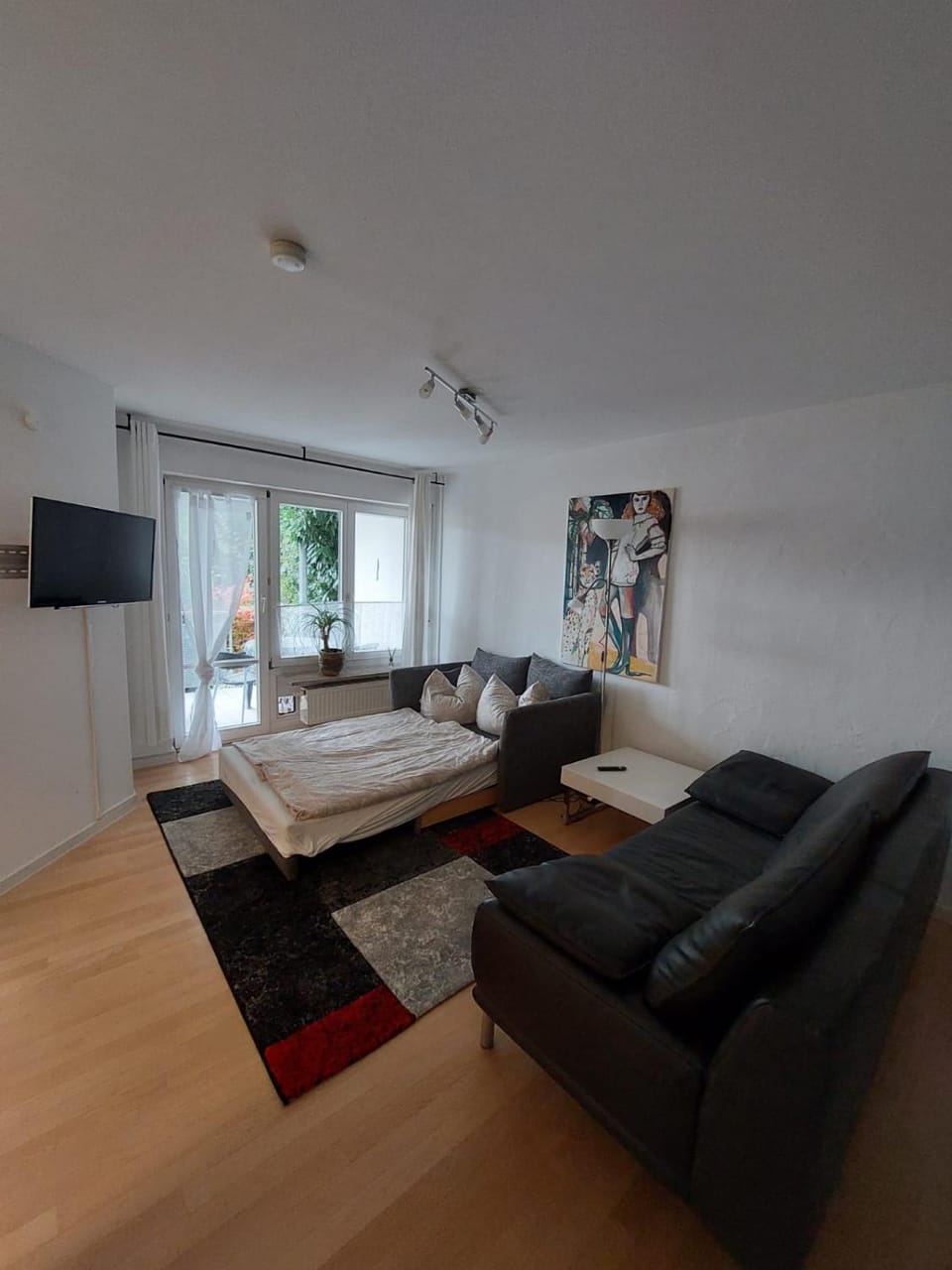 Harbour Apartments Höri EG Apartment in Radolfzell
