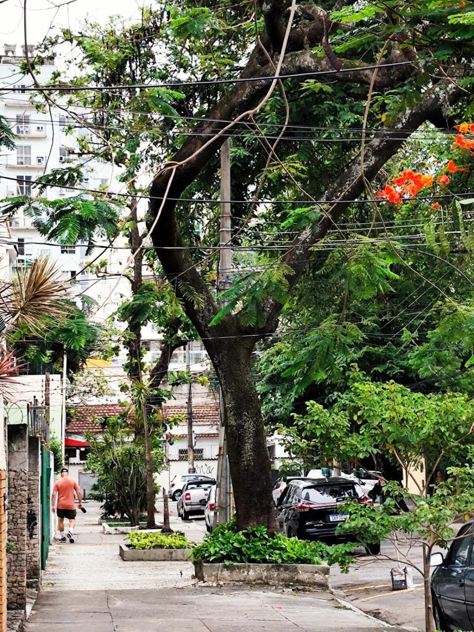 Apartamento 2 quartos Grajaú Apartment in Rio de Janeiro