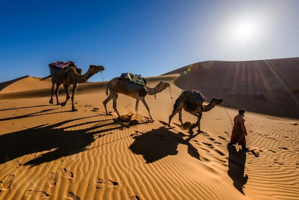camel riding Apartment in Marrakesh-Safi