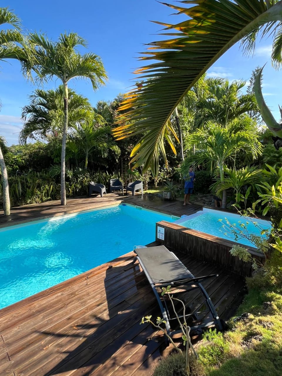 Spring, Day, Garden, Garden view, Pool view, Swimming pool, sunbed