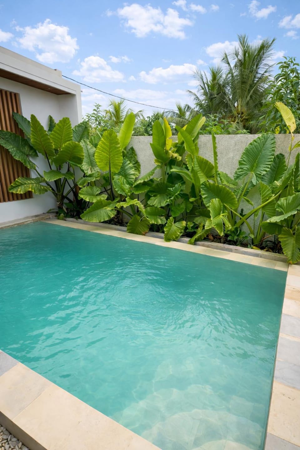 Swimming pool, Swimming pool