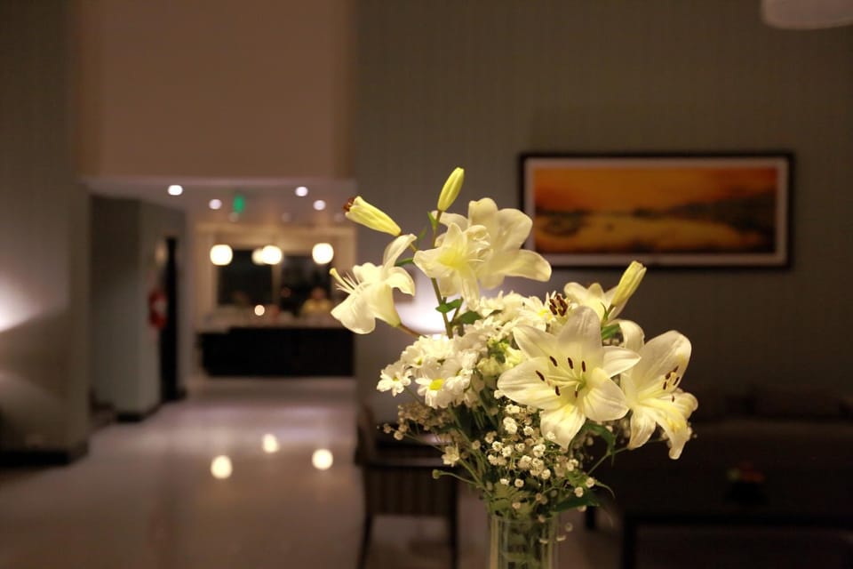 Living room, Lobby or reception