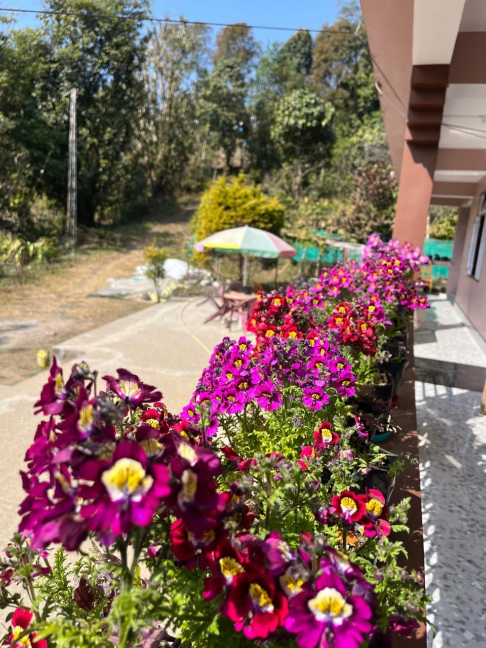 Elves Homestay Vacation rental in India