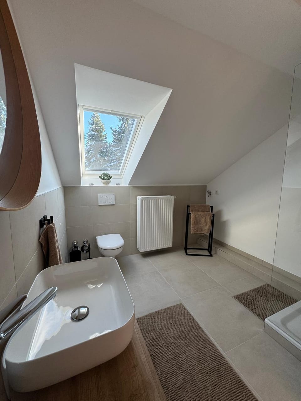 Bathroom, Living room
