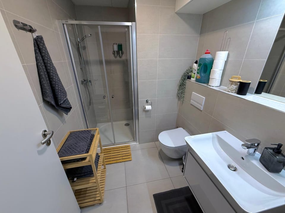 Shower, Toilet, Bathroom, towels