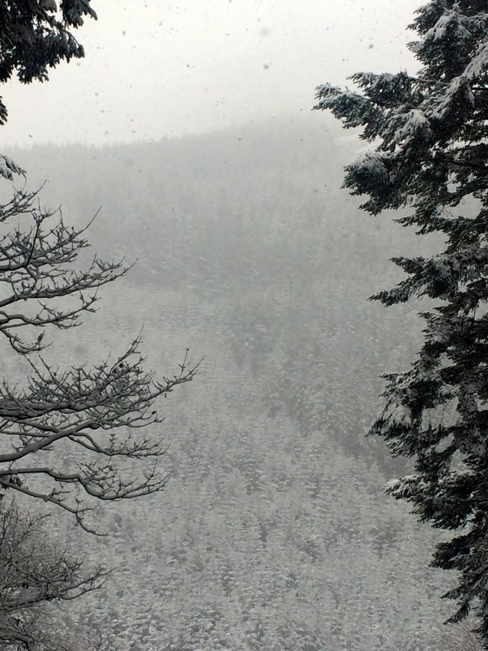 Natural landscape, Winter