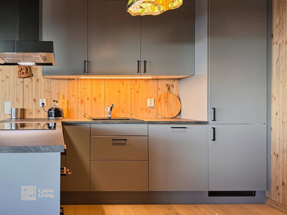Kitchen or kitchenette, dishwasher, stove