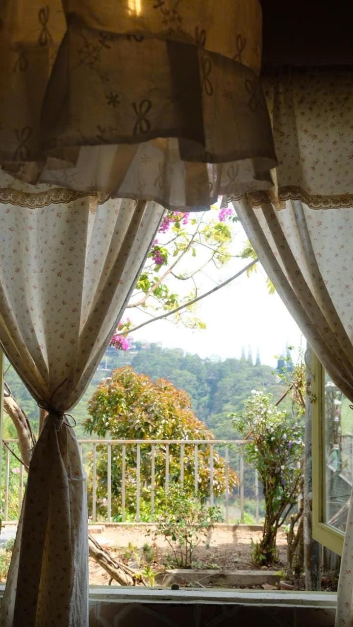 The Cây - Bougainvillea Home House in Dalat
