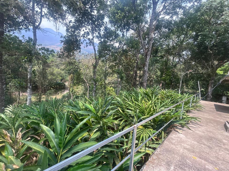The Grand Sapphires Resort Resort in Munnar