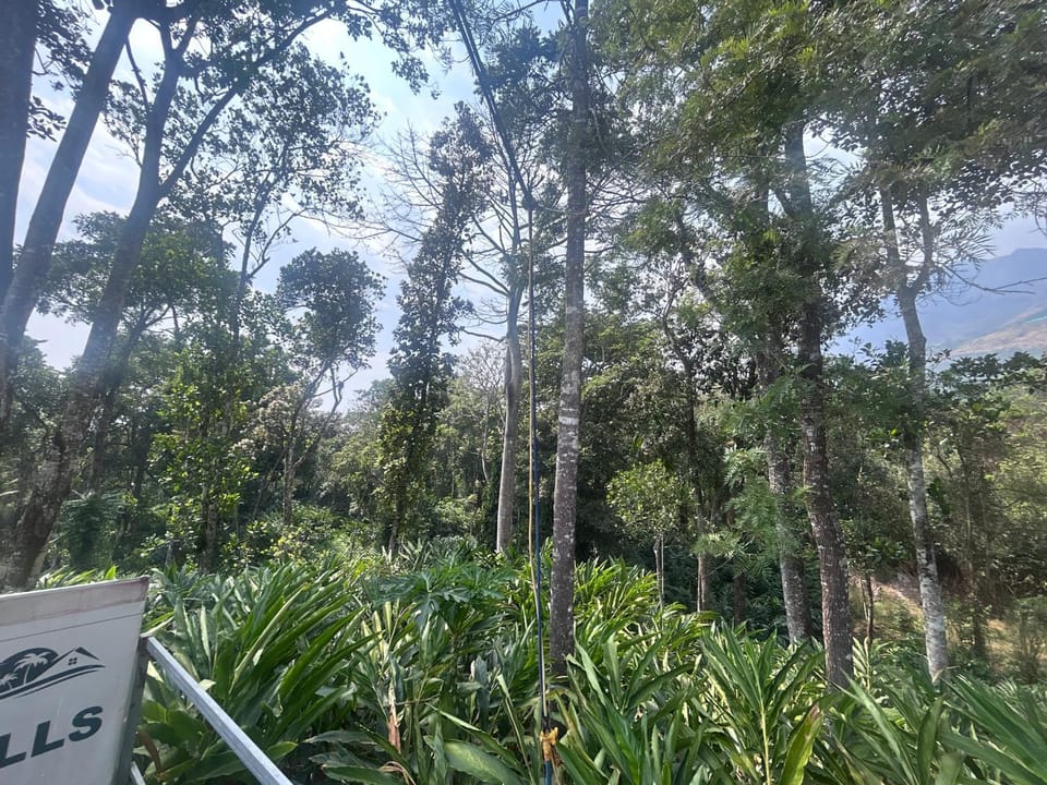 The Grand Sapphires Resort Resort in Munnar