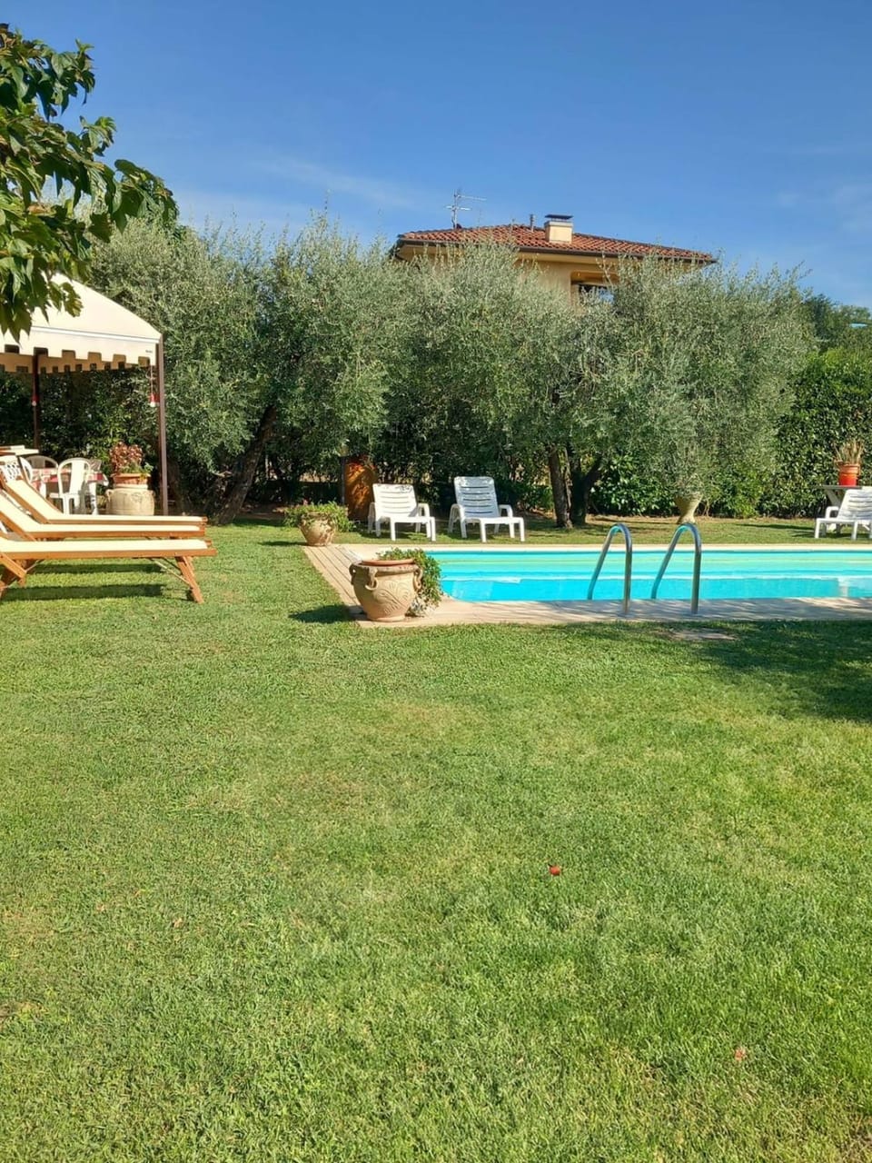 Garden, Garden view, Pool view, Swimming pool, sunbed