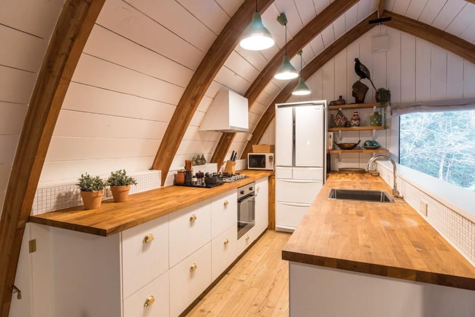 dishwasher, oven, stove, kitchen
