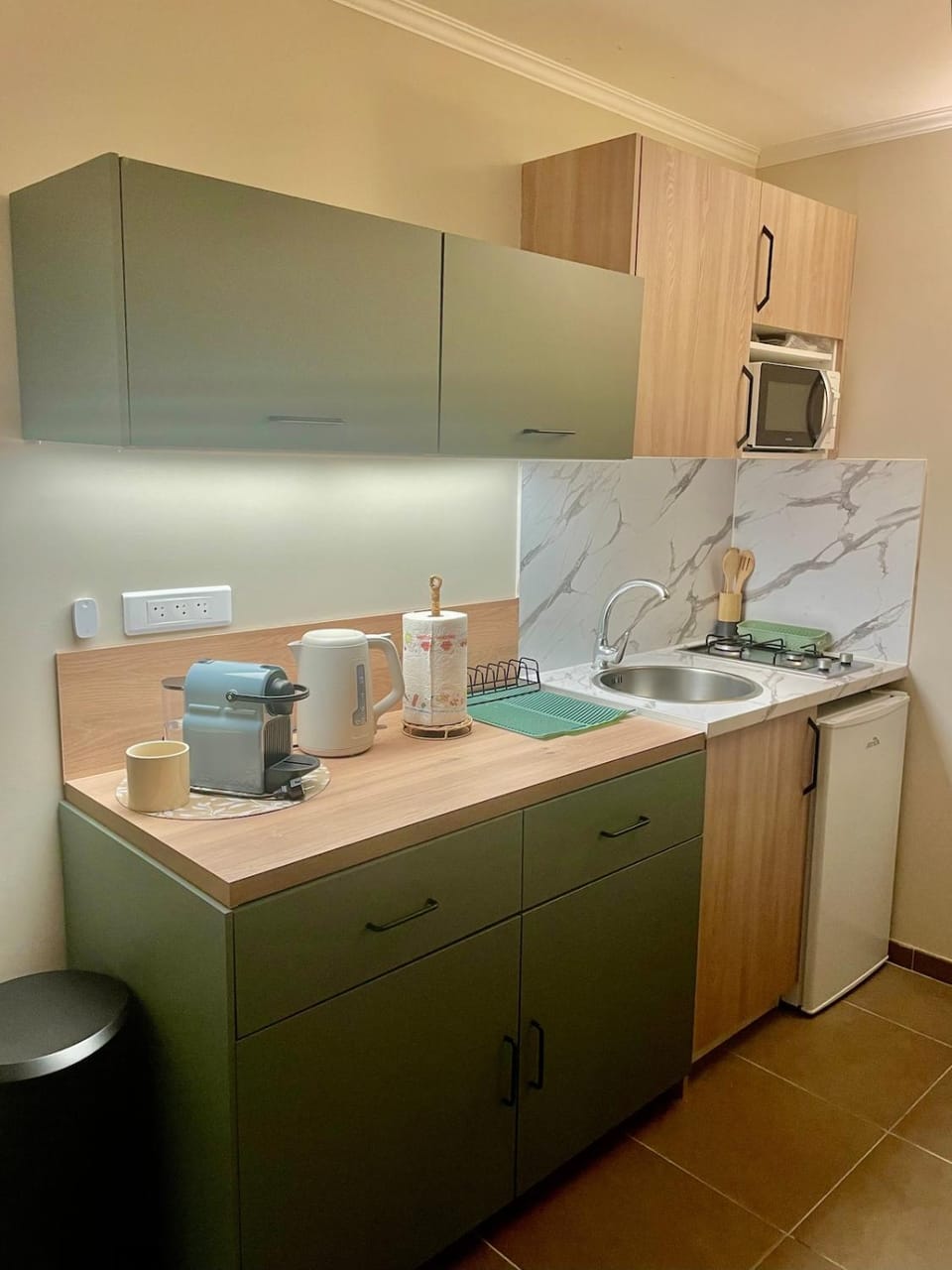 Coffee/tea facilities, Kitchen or kitchenette, storage, toaster