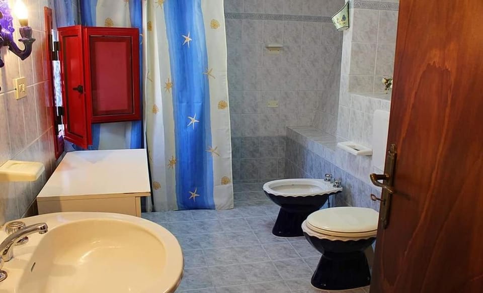 Shower, Toilet, Bathroom, bidet