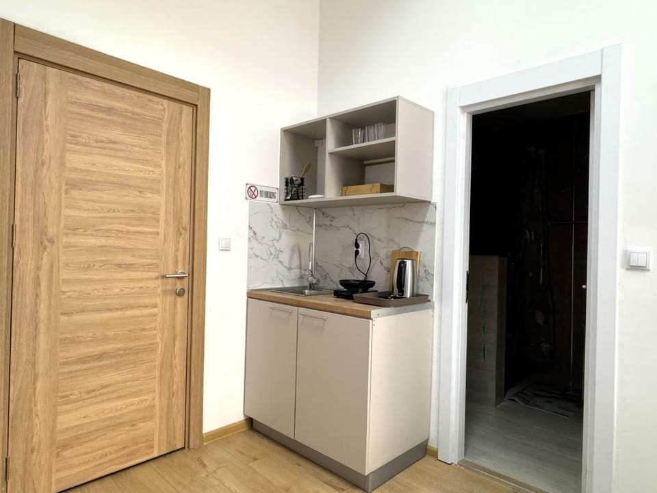 Kitchen or kitchenette, kitchen
