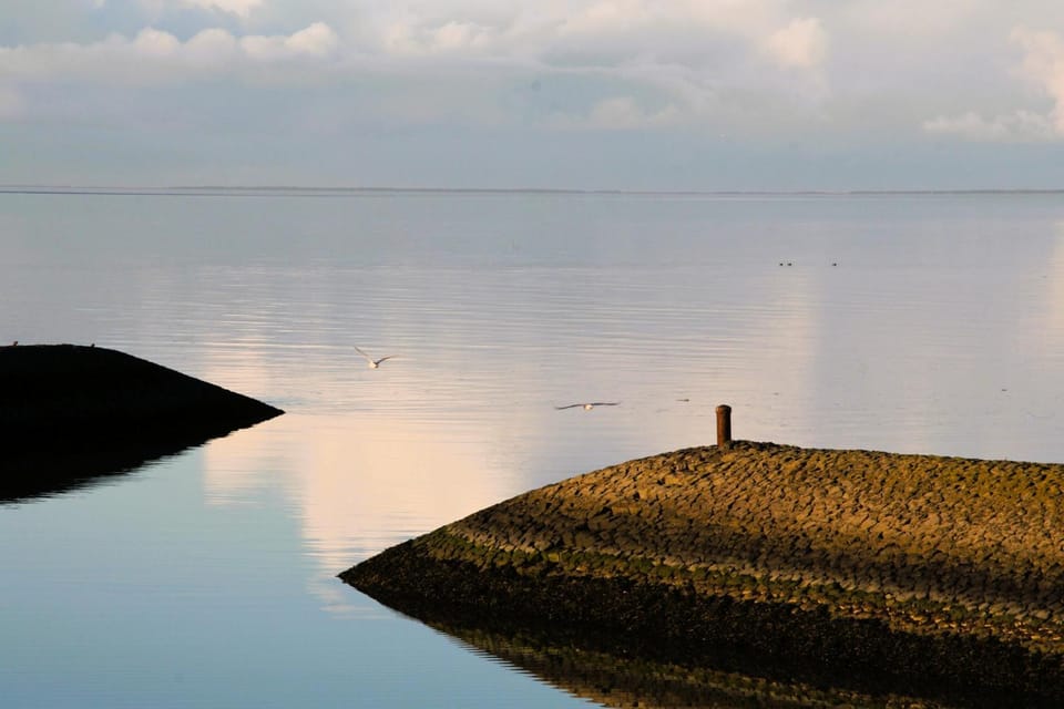 Natural landscape