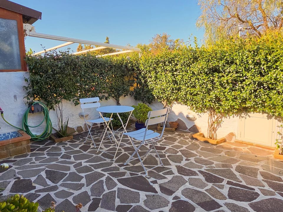 Patio, Spring, Day