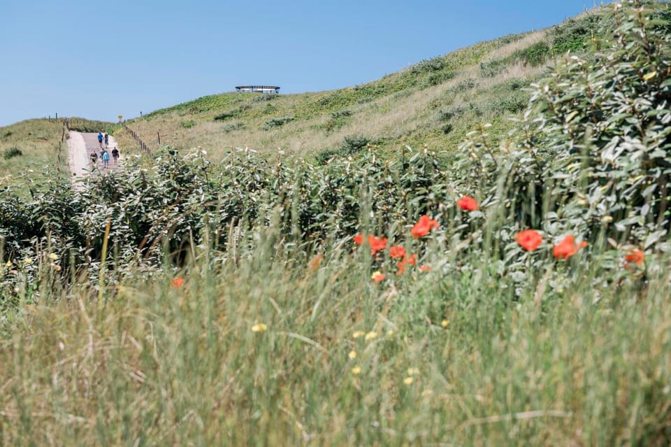 Natural landscape, Area and facilities, Area and facilities