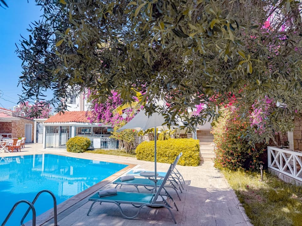 Patio, Swimming pool