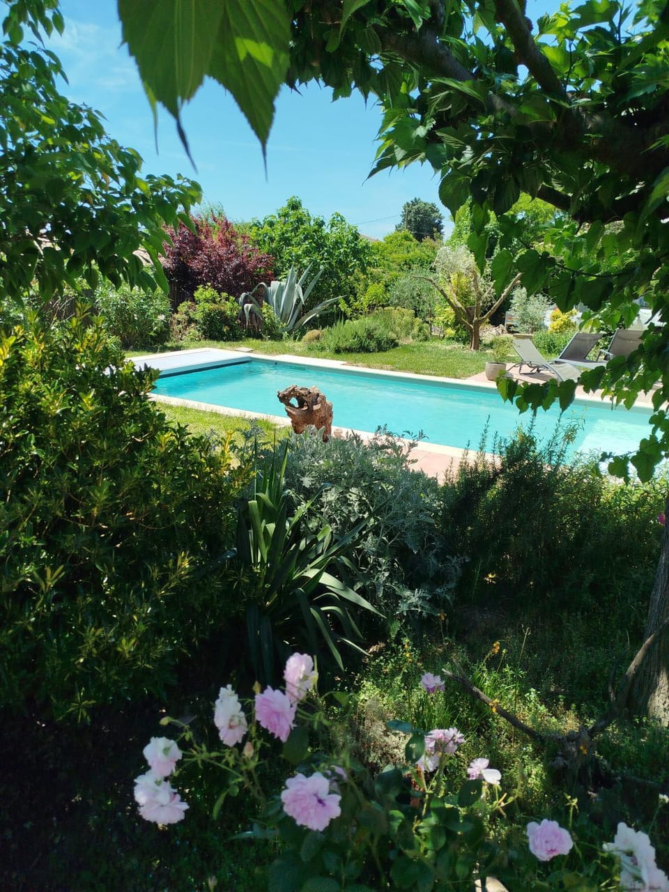 Maison des Romarins Chambre cosy Salle de bain privée , cuisine piscine partagées Bed and Breakfast in Occitanie