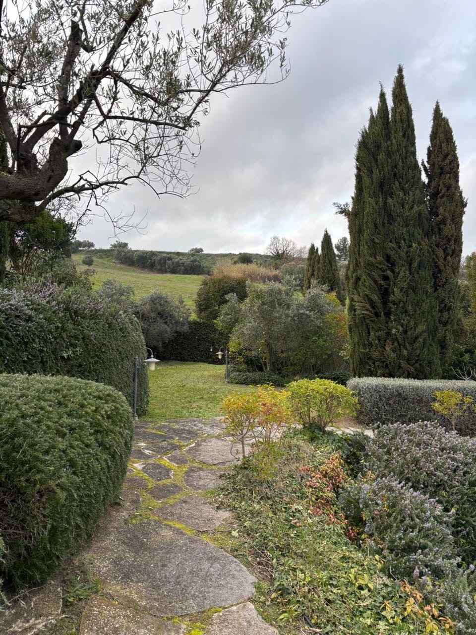Spring, Natural landscape, Garden, Garden view