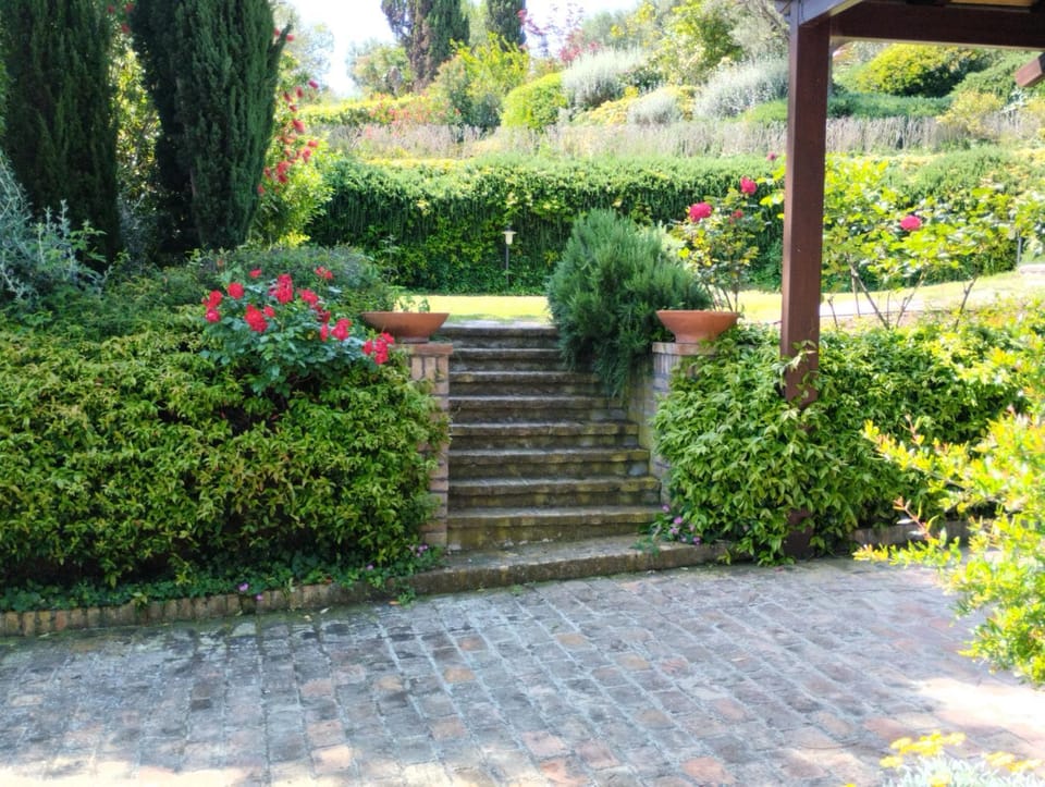 Garden, Garden view