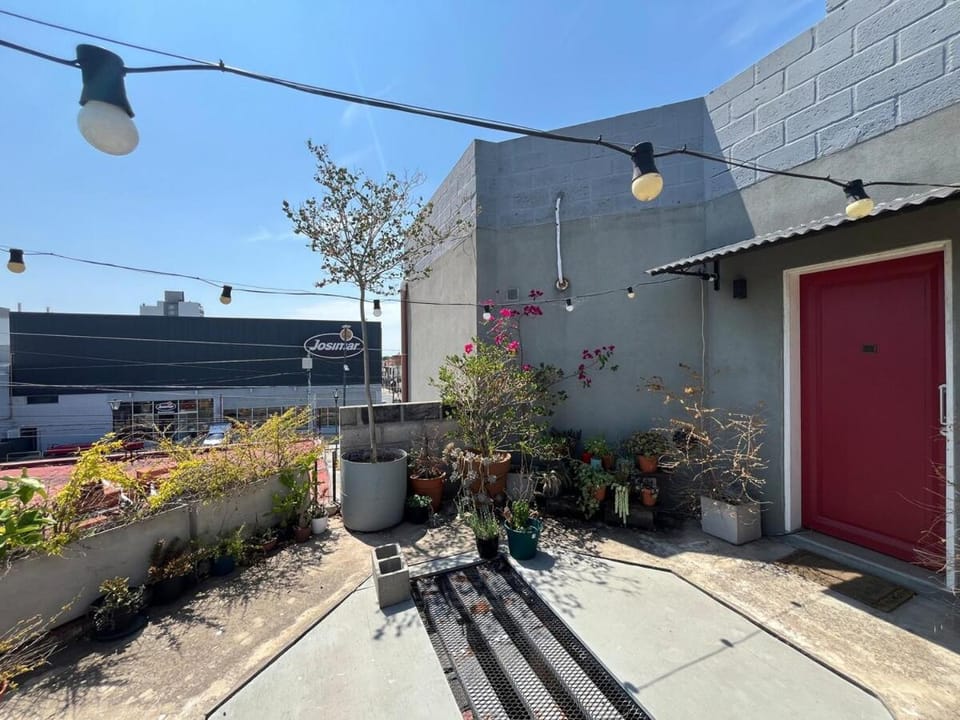 Property building, Garden, Garden view