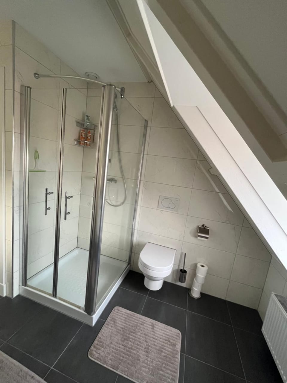 Shower, Toilet