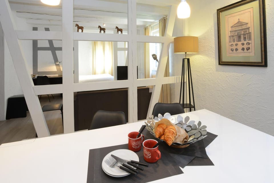 COLMAR city center place de l'Ancienne Douane - Apartment "MARIE" - Apartment in Colmar