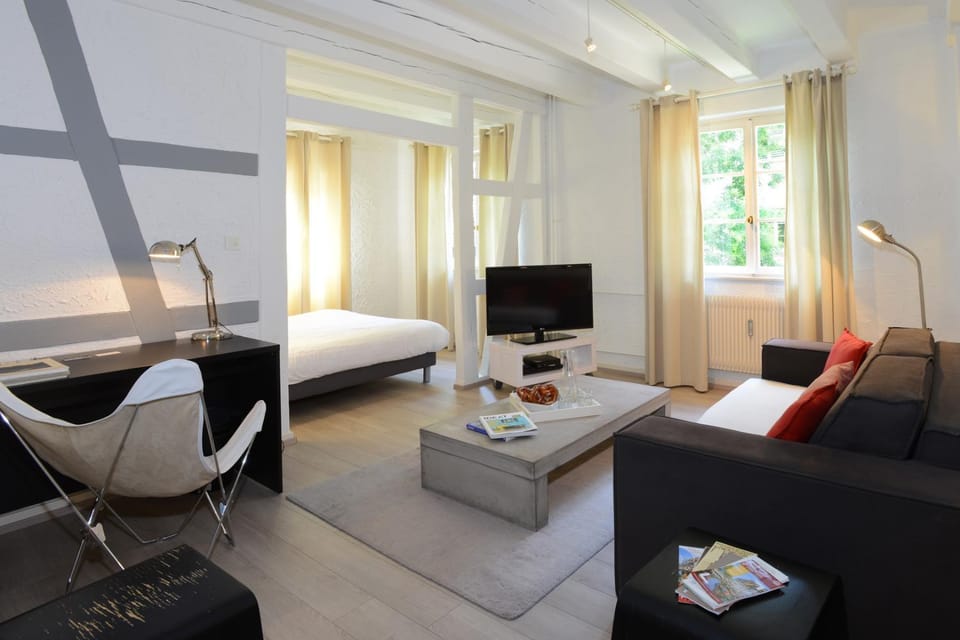 COLMAR city center place de l'Ancienne Douane - Apartment "MARIE" - Apartment in Colmar