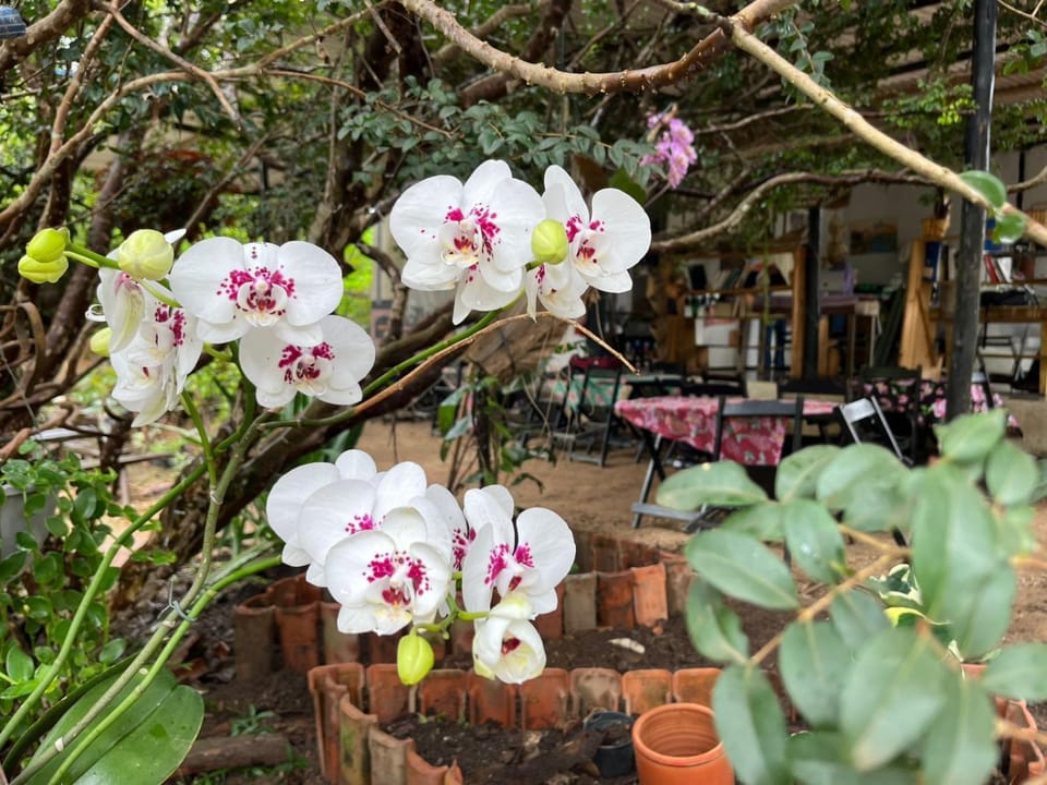 Cantinho Calunga House in State of Goiás