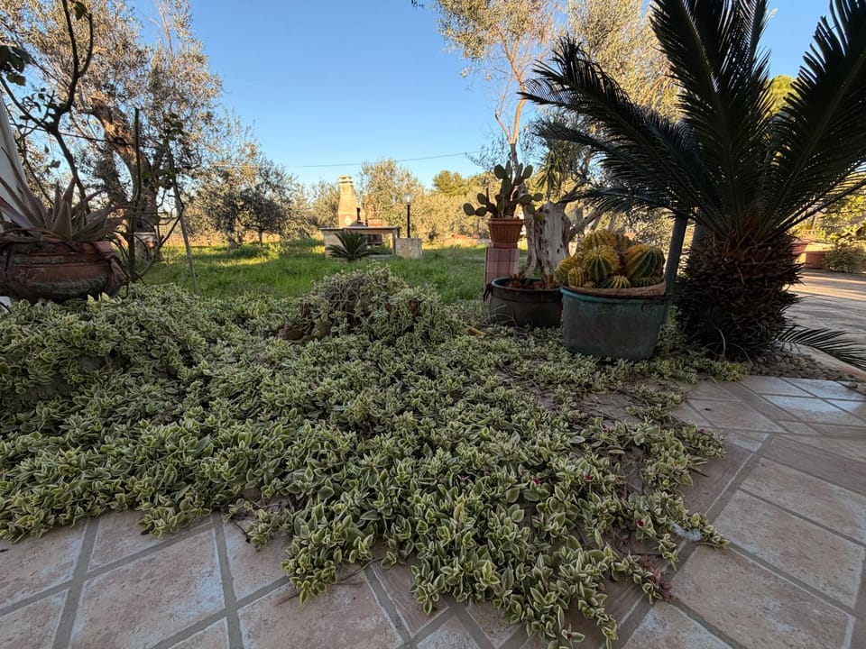 Day, Garden, Garden