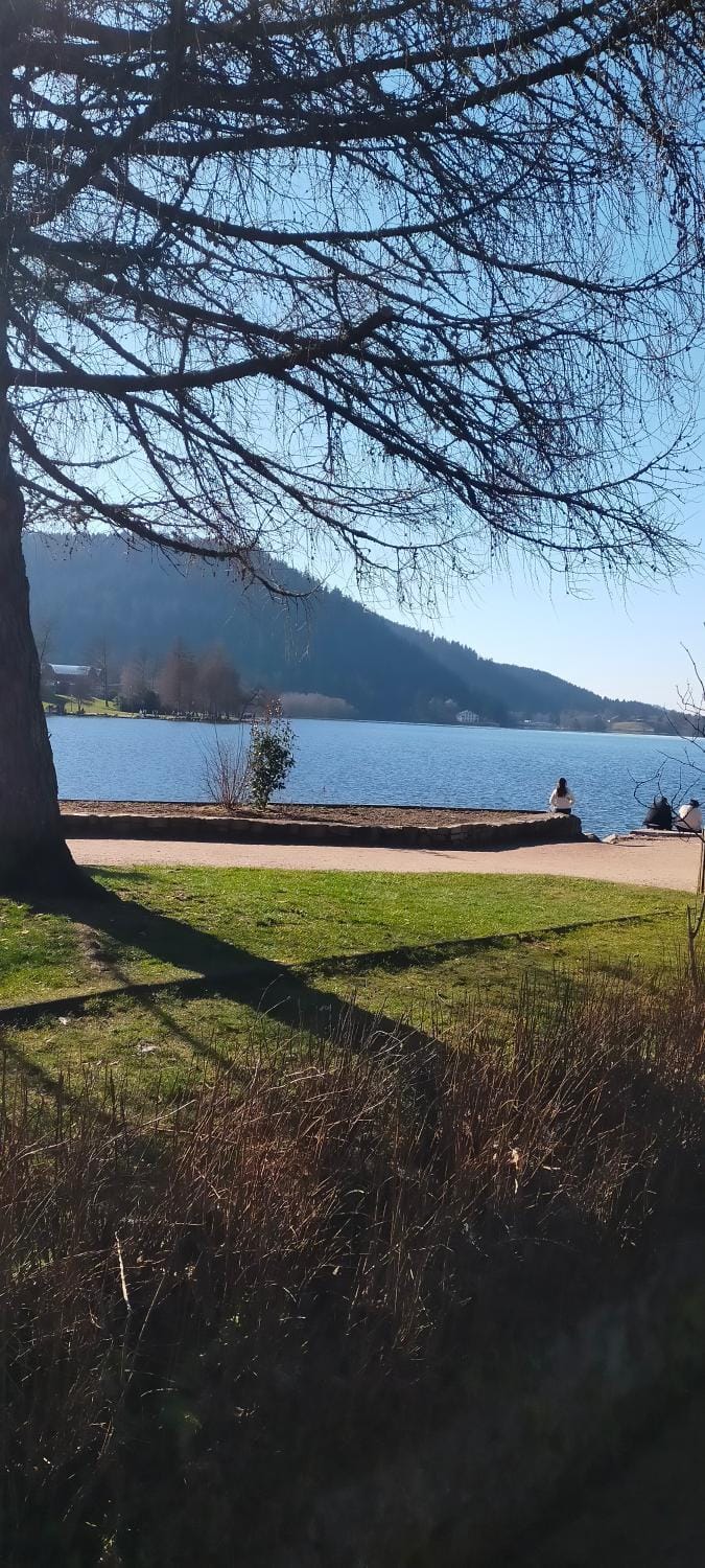 Gérardmer en famille ou entre amis Apartment in Gérardmer