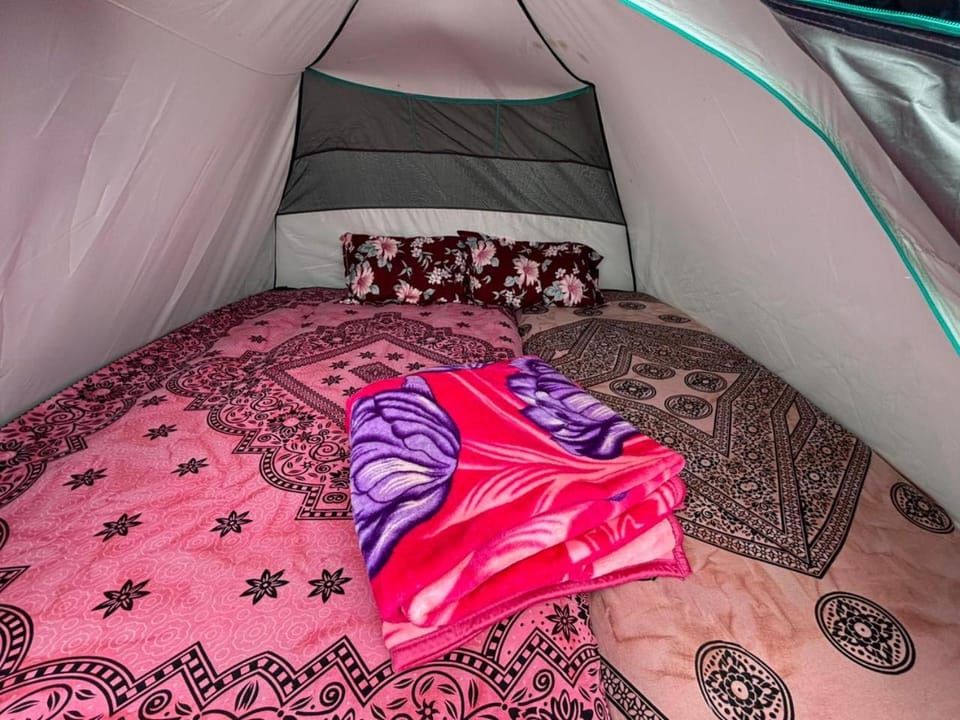 Highrange tent camping vagamon Luxury tent in Kerala