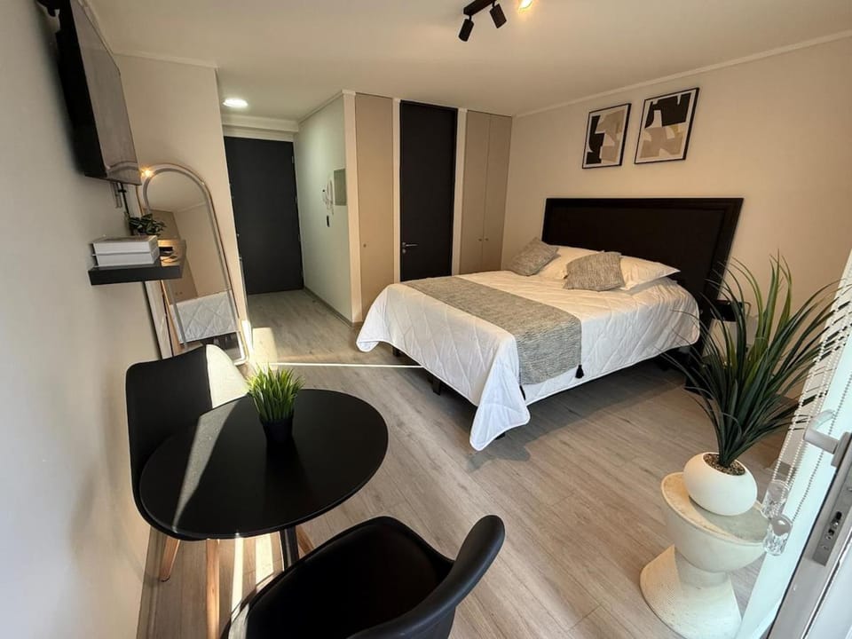 Style & Comfort in Santiago Downtown subway Wifi AC Apartment in Santiago