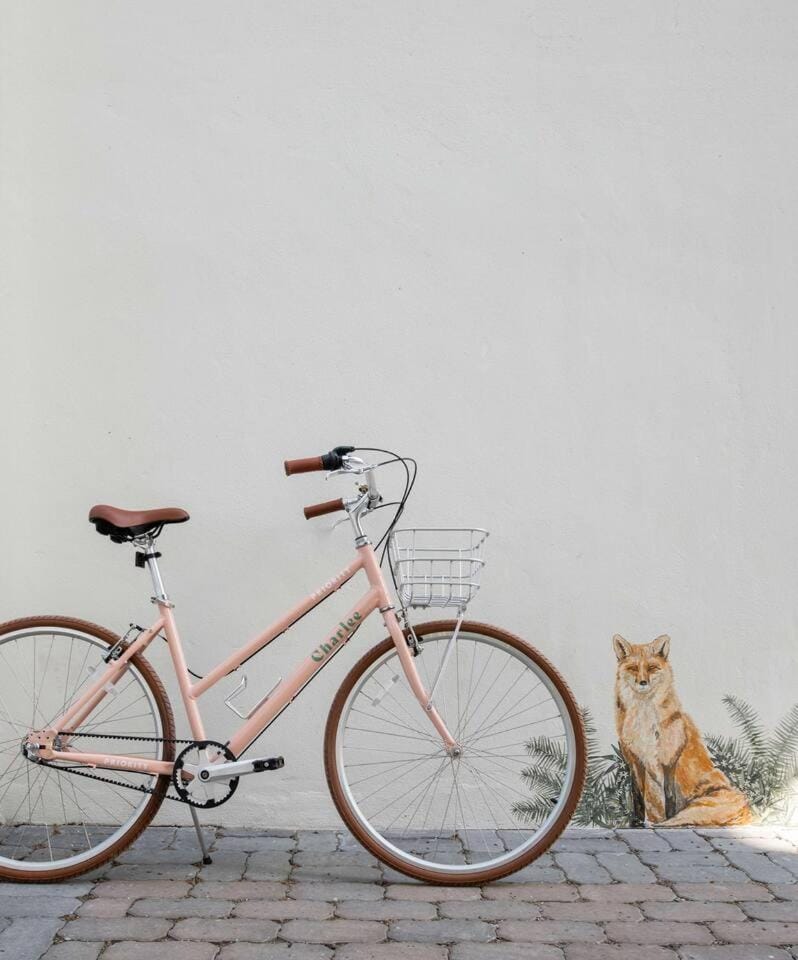 Luxe Downtown 4 Bed with Porch Parking & Bikes House in Charleston