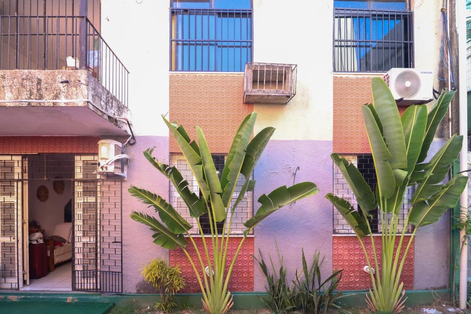 Property building, Day, Garden