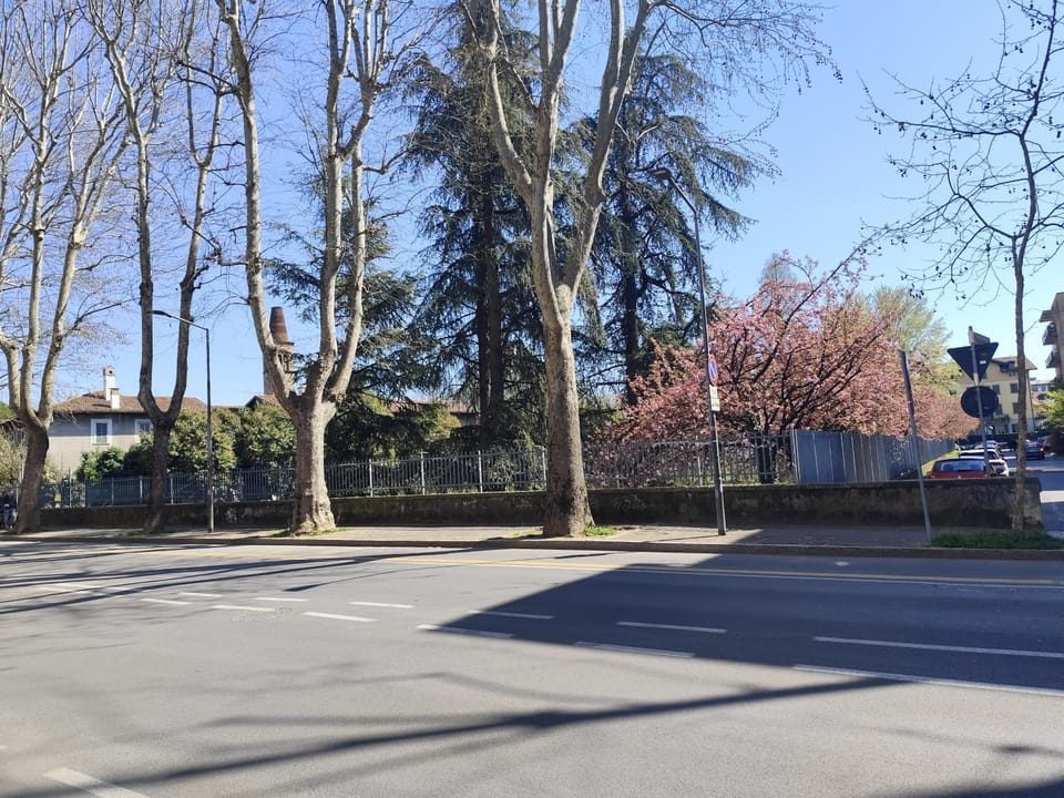 Casa Ghirardelli - Bilo ristrutturato zona Stadio bgo Santa Caterina Apartment in Bergamo