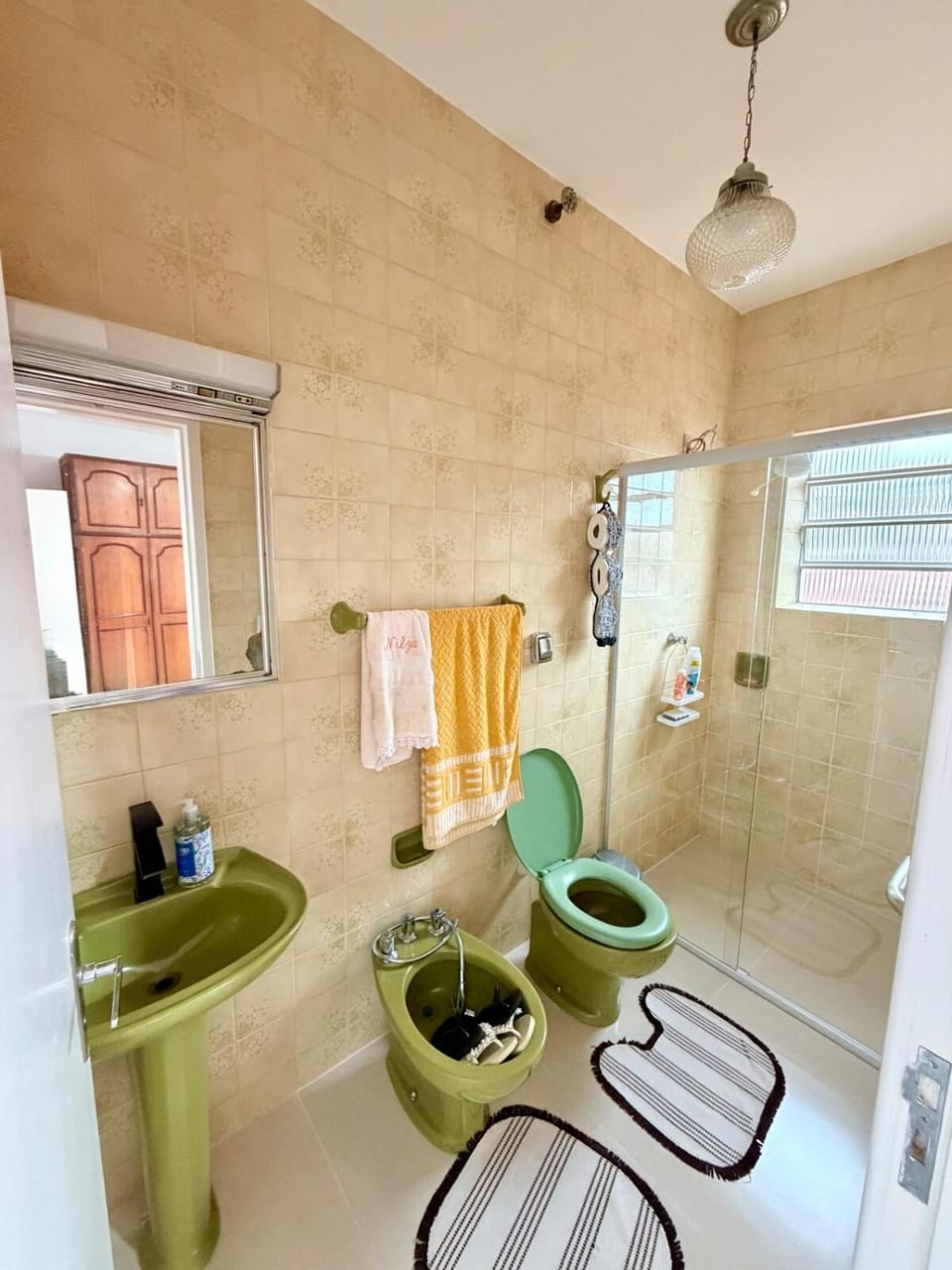 Nogueira Home House in State of São Paulo