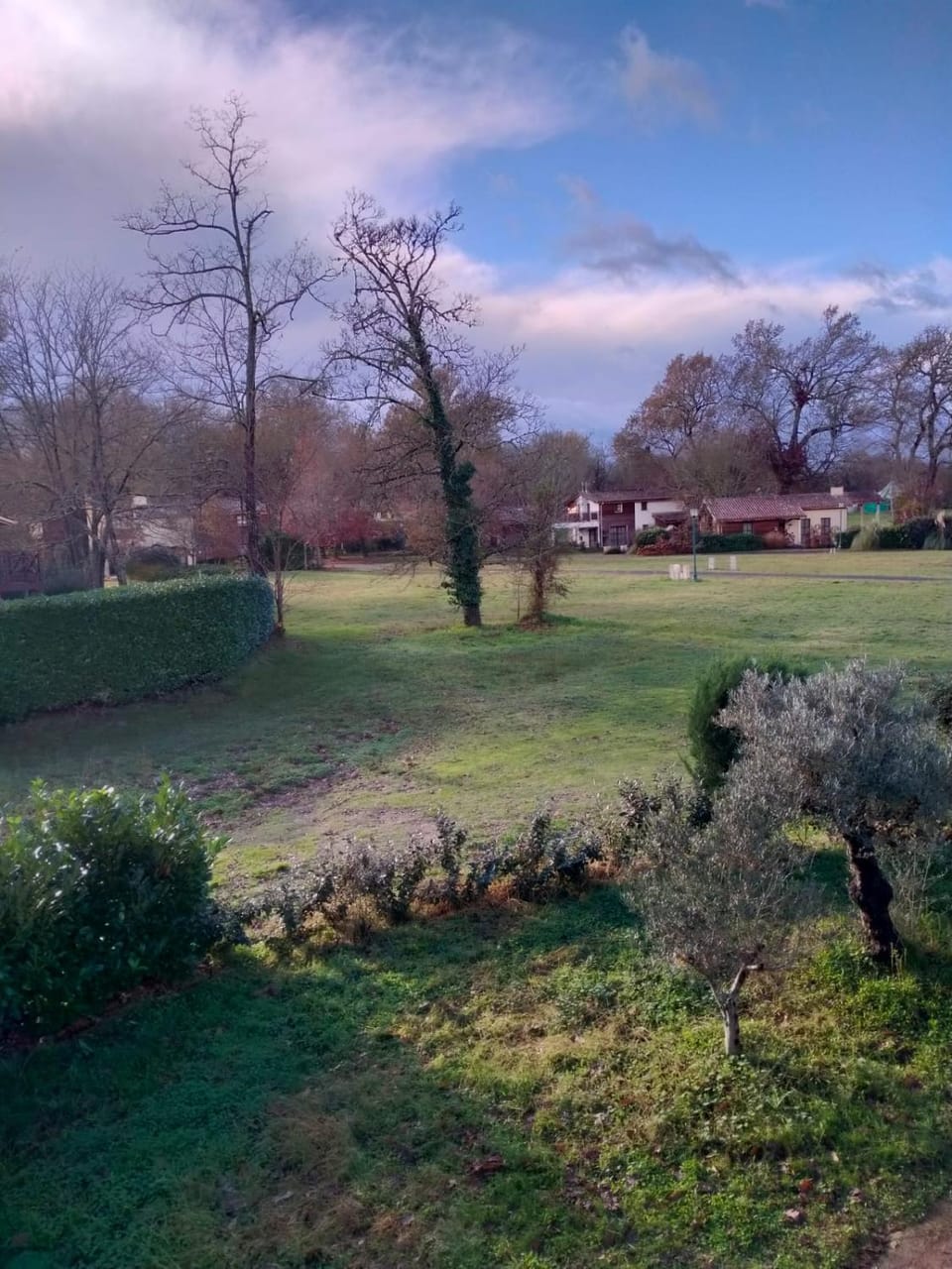 Garden, Garden view