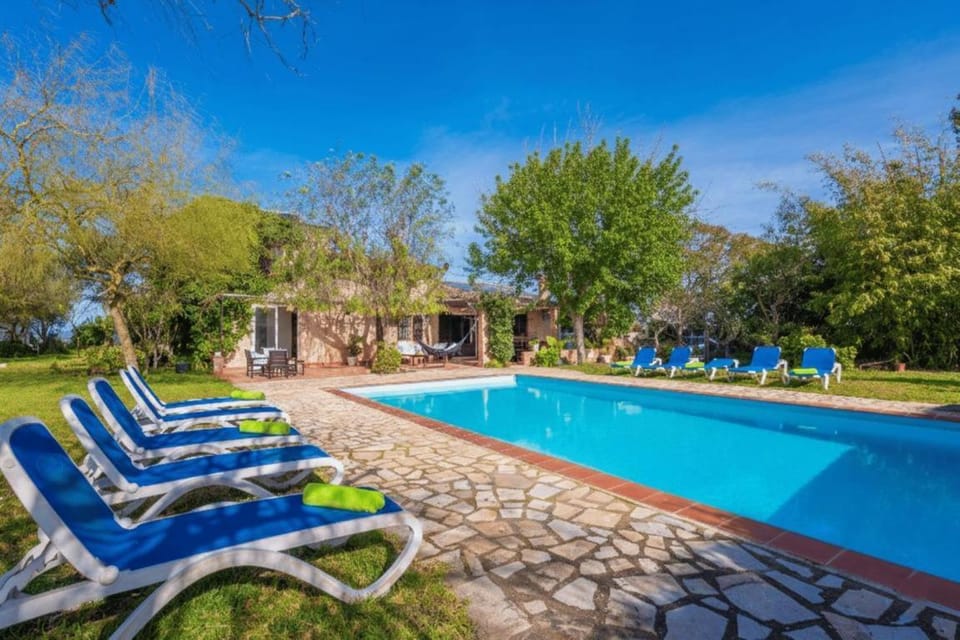 Garden, Swimming pool, sunbed