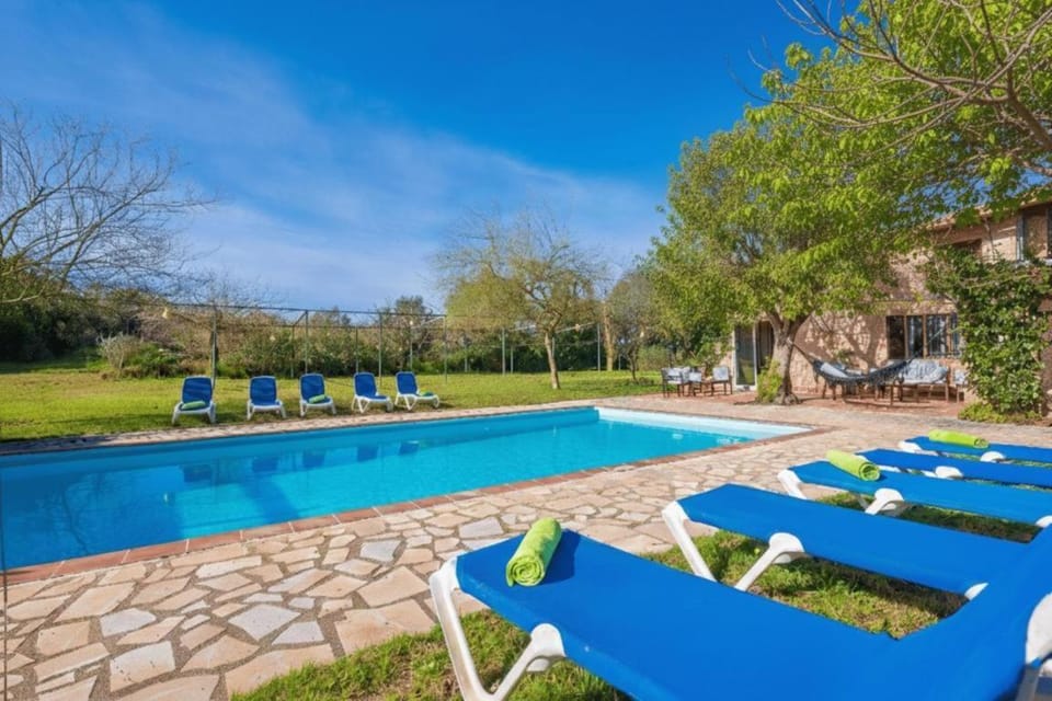 Garden, Swimming pool, sunbed